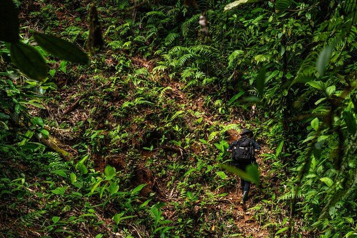 Avventura di un'intera giornata nel Parco nazionale del Corcovado da Drake Bay