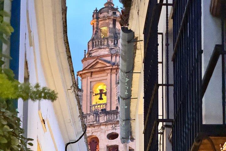 De Málaga Córdoba Private Daytrip