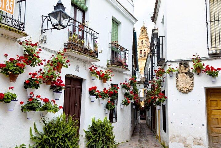 De Málaga Córdoba Private Daytrip