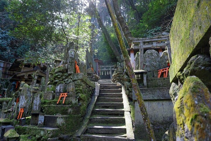Kyoto: Fushimi Inari Hidden Hike (Private)