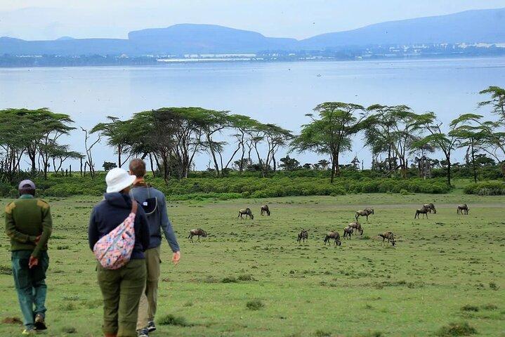 Lake Naivasha Boottocht en Crescent eilandwandeling vanuit Nairobi