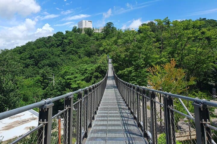 Closest Observatory to DMZ & Suspension Bridge Tour from Seoul