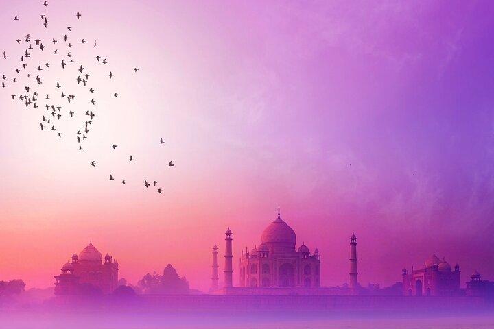 Icone di Agra: Taj Mahal, Forte di Agra, Baby Taj e Shopping