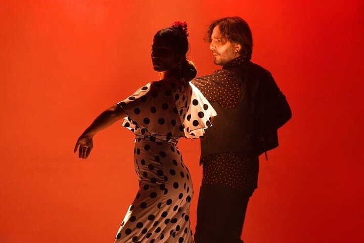 Flamenco Show Ticket at Theatre Barcelona City Hall