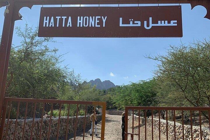 Hatta Private Tagestour