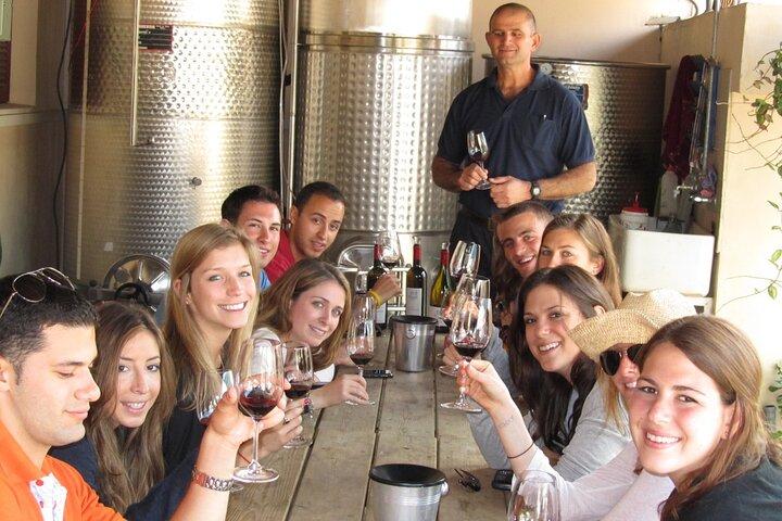 Trauben & Gärten : Nordisrael - Private Weintour