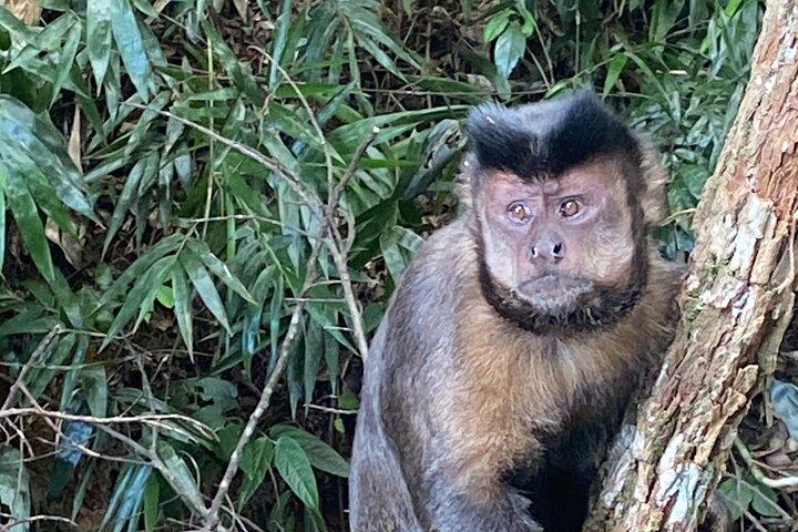 Ganztägige Entdeckungstour in Rio de Janeiro
