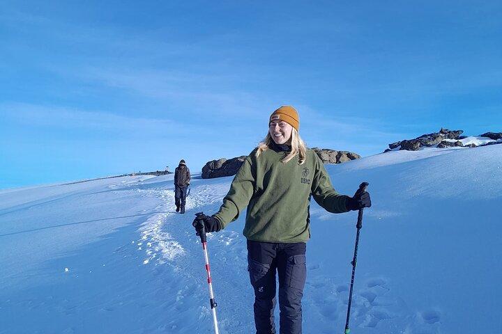 Kilimanjaro Group Trek Lemosho Route 8 dagar