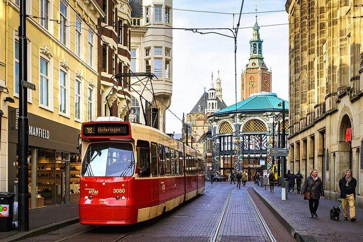 Private VIP Tour with Car to Rotterdam and The Hague with Official Guide