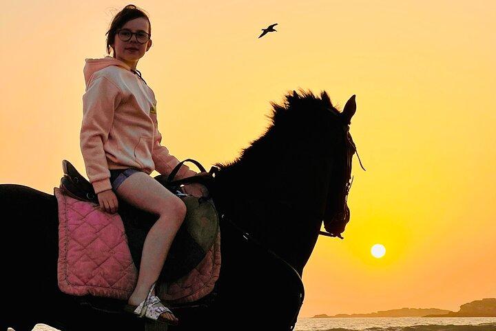 2 timmars ridning galopp i Essaouira Beach, sanddyner och skog