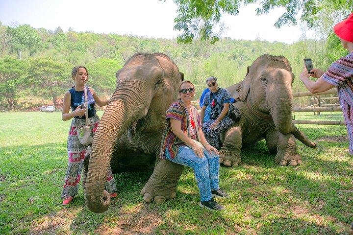 Chiang Mai Elephant Sanctuary und Sticky Waterfall Tagestour