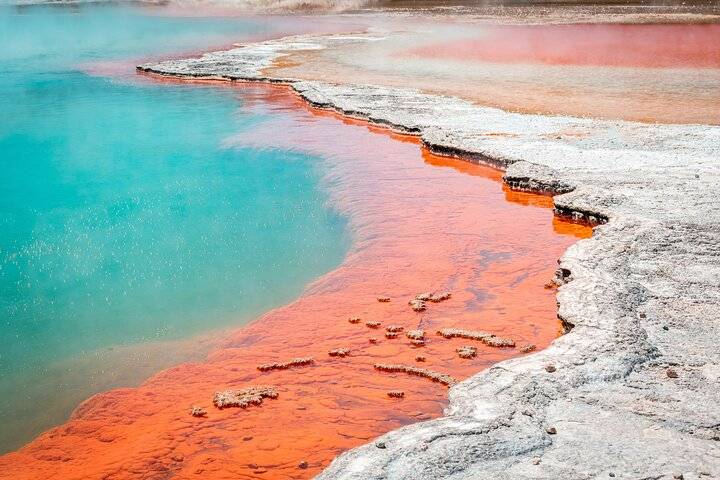 Rotorua, Rotorua