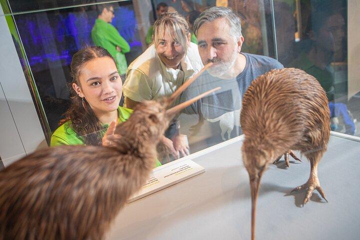 Museum van NZ Te Papa Tongarewa : Toegang voor internationale bezoekers