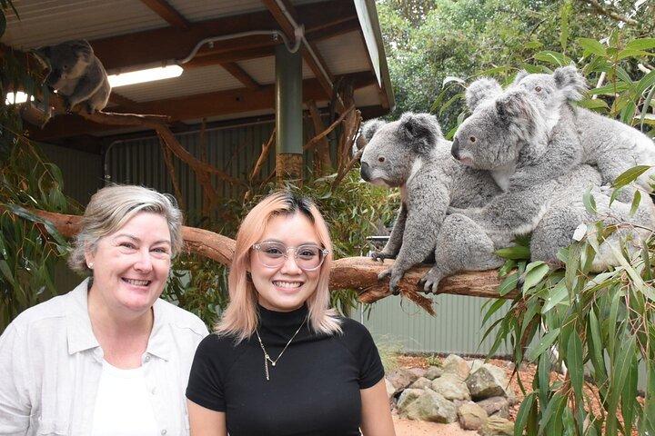 Blue Mountains Tagestour + Zoo & malerische Weltoptionen, Morgentee