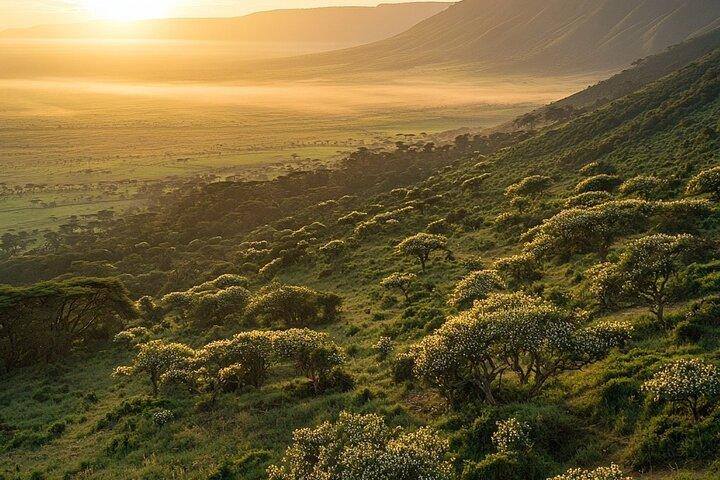 Safari de 5 días en el lago Manyara, Serengeti y Ngorongoro