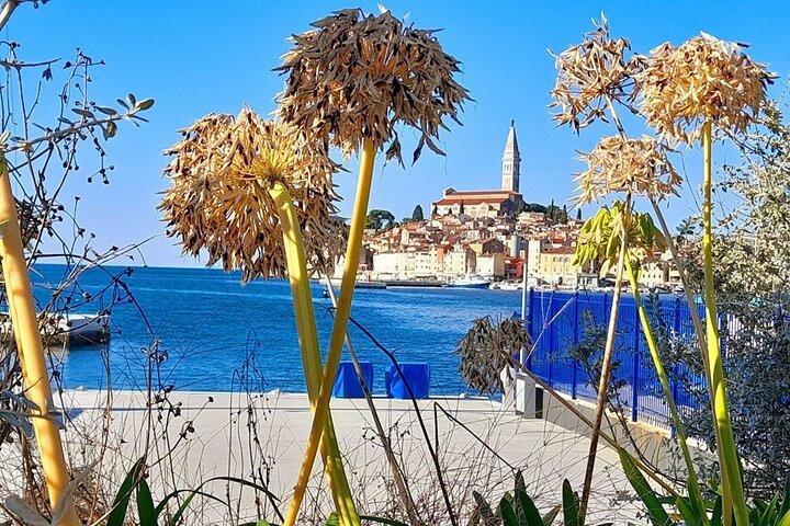 Rovinj Walking Tour