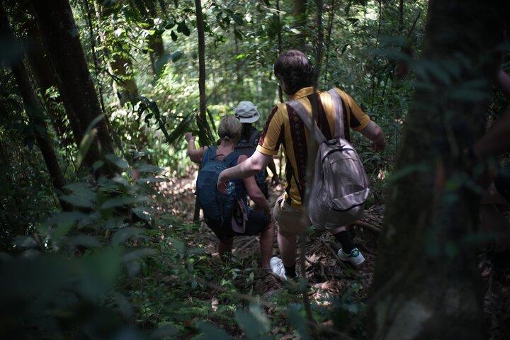 Bukit Lawang Berastagi 4 Tage 3 Nächte Vulkan & Dschungel Trekking