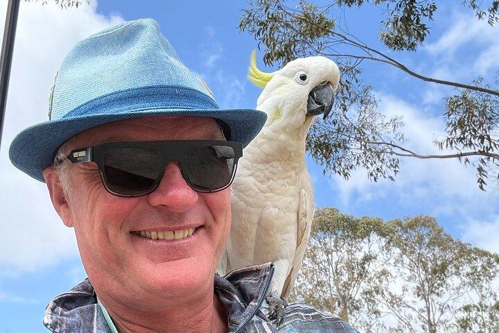 Privat Blue Mountains Day Tour – flexibel och anpassad