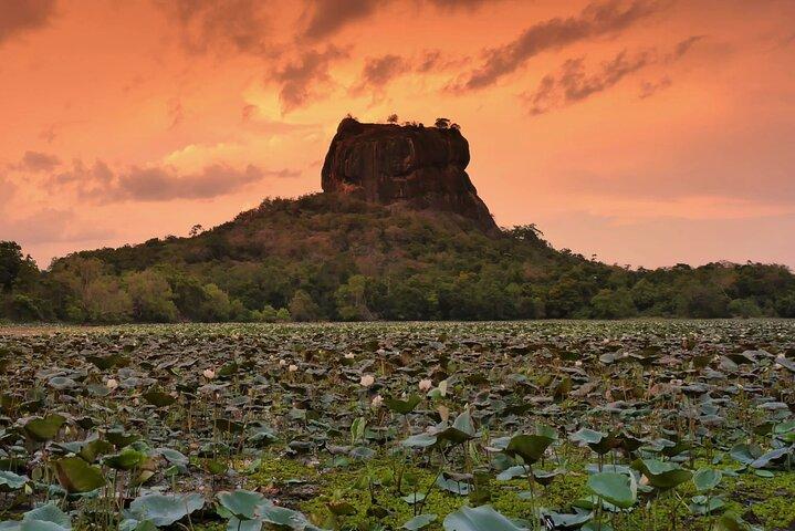 Morning & Evening Private Safaris with Village Life Experience