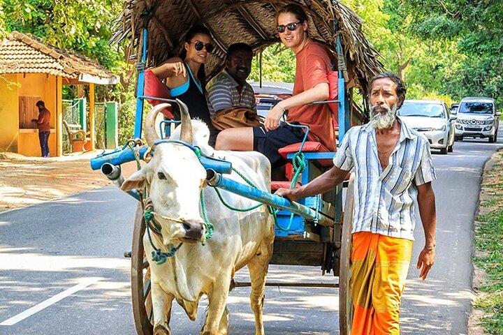 Morning & Evening Private Safaris with Village Life Experience