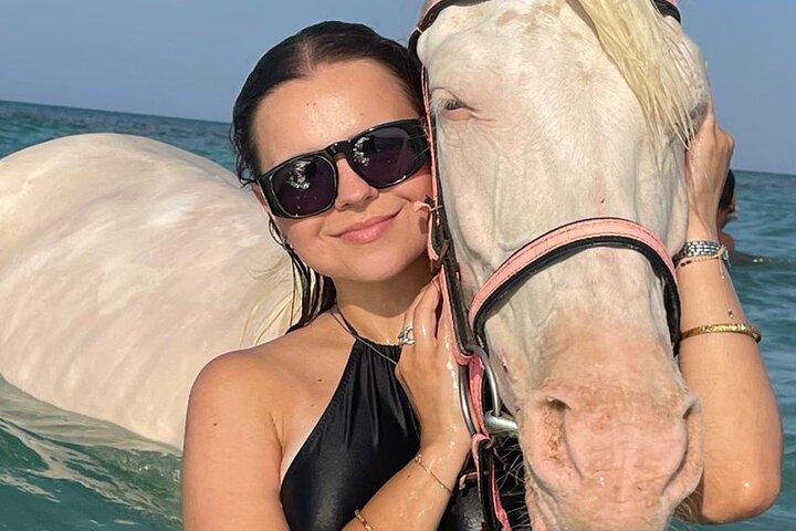 Hest Hurghada