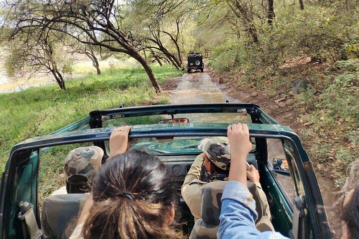 Ranthambore - Sharing Tiger Safari im Galopp 20 Sitzer Fahrzeug