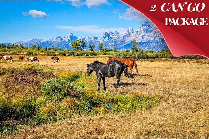 6 - Day Grand Teton, Yellowstone, Rockies & Colorado Hot Springs