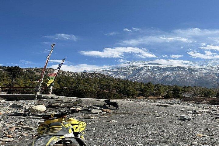 Tilicho e Gangapurna Lake Tour privato di 7 giorni