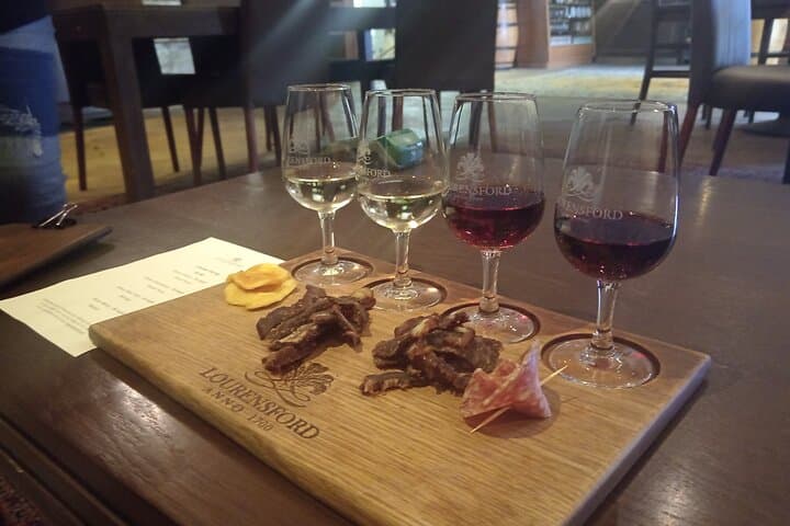 Penguins Viewing, Cape of Goodhope and Winelands Region