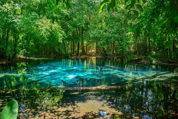 Tour della piscina e delle sorgenti termali della giungla di Krabi