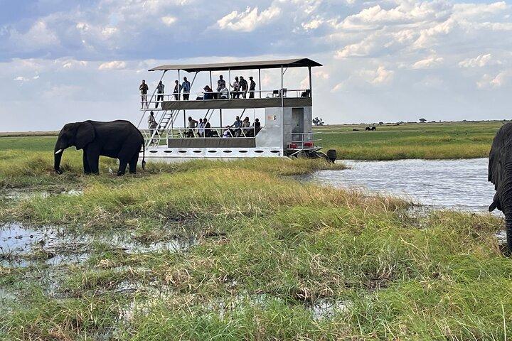 Chobe Heldagssafari med lunchbuffé från Livingstone