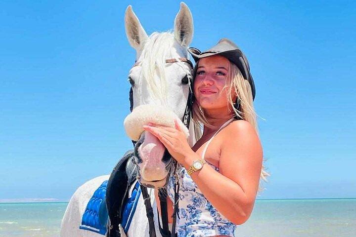 Hest Hurghada