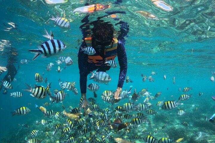 南西の秘境ギリスナングー、スダック&ケディス日帰り旅行