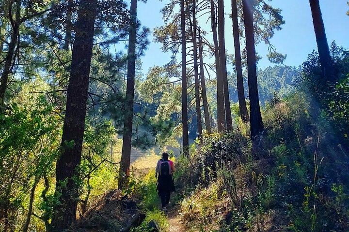Sierra Norte Hike e aldeia indígena de dia inteiro aventura
