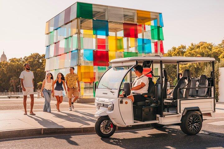 Malaga PRIVATTUR 1 time gennem byen med Tuk y Flow