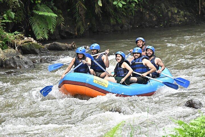 Scopri Ubud Waterfall Swing Rice Terrace e Monkey Forest