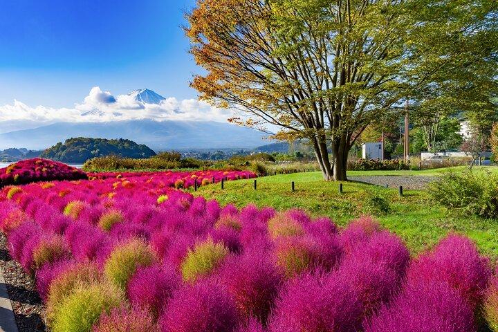 Kleingruppentour zum Fuji- und Kawaguchi-See ab Tokio