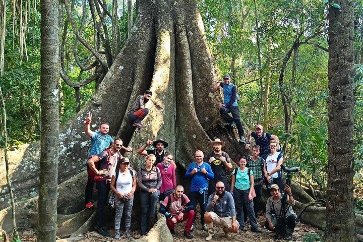 Tambopata 4 Tage Amazonas Tour : Chuncho Ara & Sandoval See