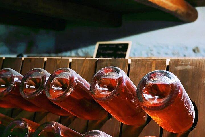 Wijnmakerij Tour en Proeverij 4 wijnen bij Cantina Le Macchie bij Rome