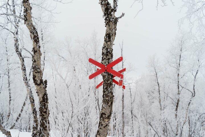 Tour en moto de nieve en Kiruna