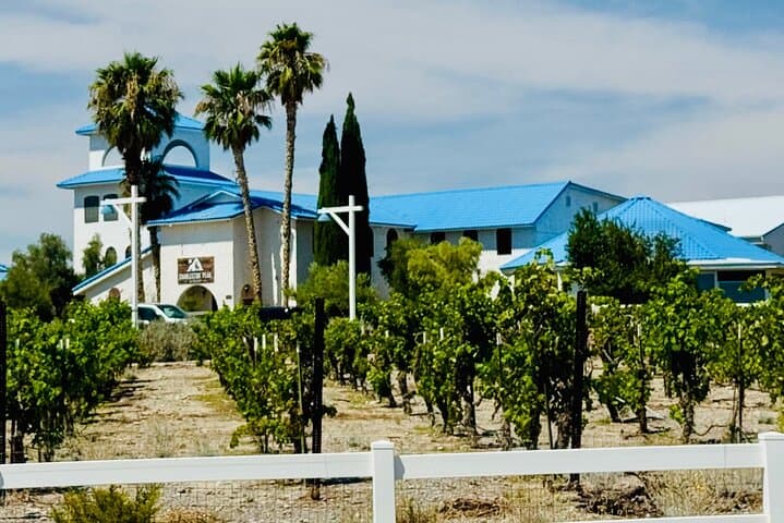 Scenic Wine Tasting Tour from Las Vegas with Food