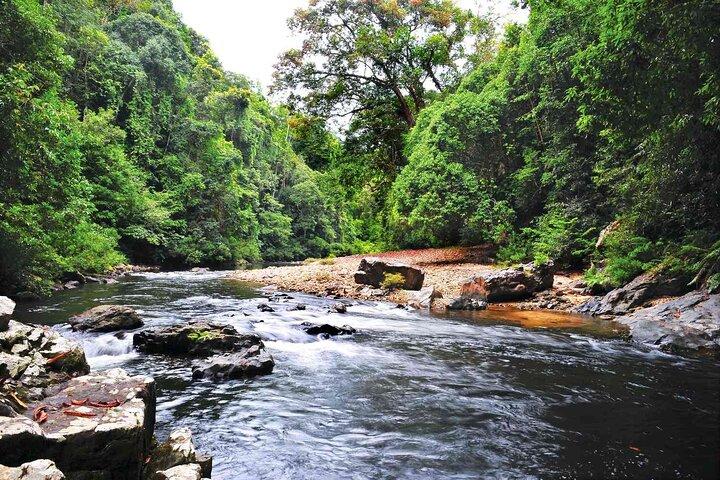 Transfert privé Kuala Lumpur au parc national de Taman Negara