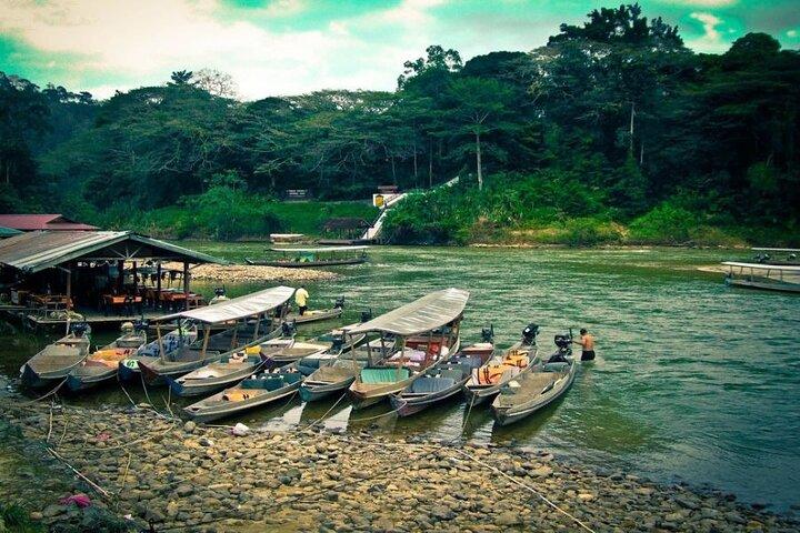 Transfert privé Kuala Lumpur au parc national de Taman Negara
