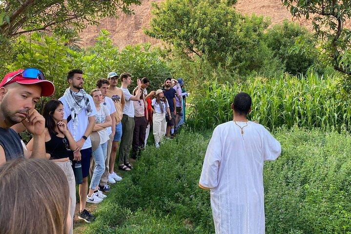 LET'S GO Tour MARRAKECH to DESERT TO FES 3 Days