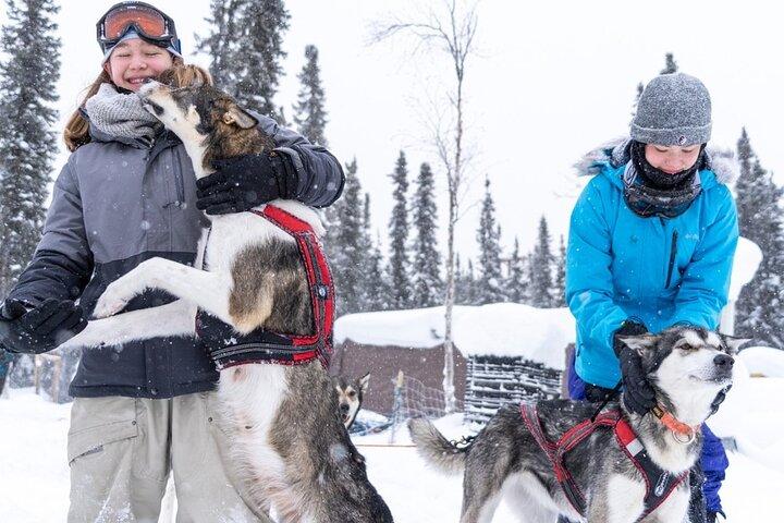 Sledding og Homesteading Eventyr