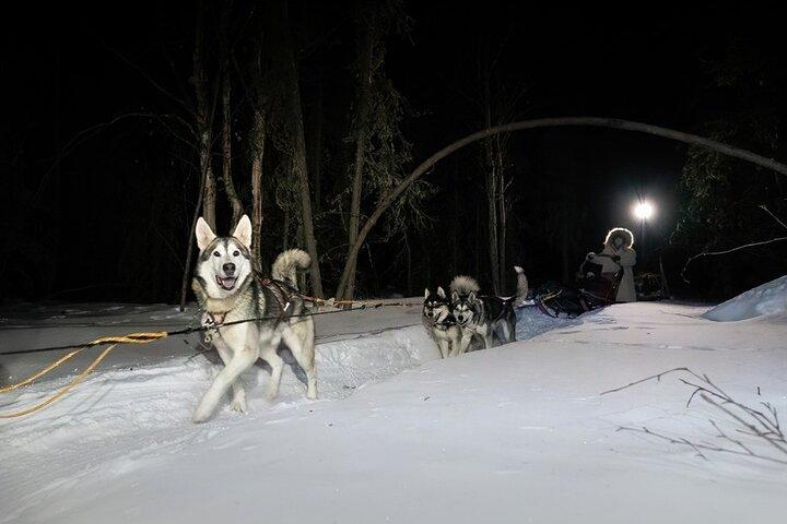 Sledding og Homesteading Eventyr
