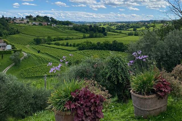 Euganean Hills
