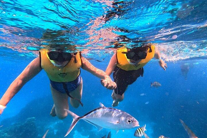 Catamaran à Cozumel avec plongée à El Cielo et bar ouvert