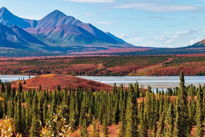 Excursion de nuit sur l'autoroute Denali