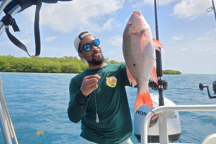 Excursão de pesca de recife Trolling and Drop de Hopkins
